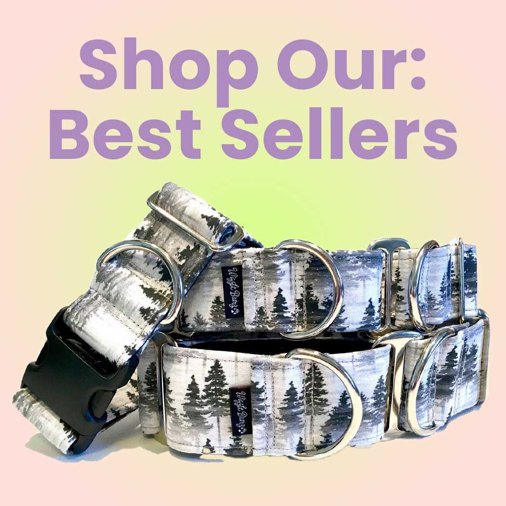 Best Sellers Big Paw Shop