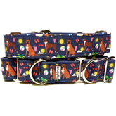 Boxers on The Beach Dog Collar by Big Paw Shop featuring a whimsical design on cotton fabric