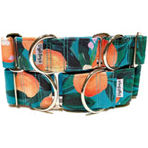 Clementine Dog Collar by Big Paw Shop featuring a whimsical design on cotton fabric