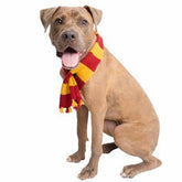 Wizard Scarf Pet Costume - BigPawShop