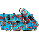 Lobster Festival Dog Collar by Big Paw Shop featuring a whimsical design on cotton fabric