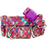 Mother of Dragons Dog Collar by Big Paw Shop featuring a whimsical design on cotton fabric