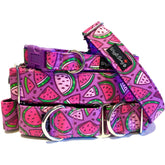 Watermelon Funk Dog Collar by Big Paw Shop featuring a whimsical design on cotton fabric
