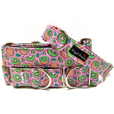 You hold the Kiwi to my Heart Dog Collar by Big Paw Shop featuring a whimsical design on cotton fabric