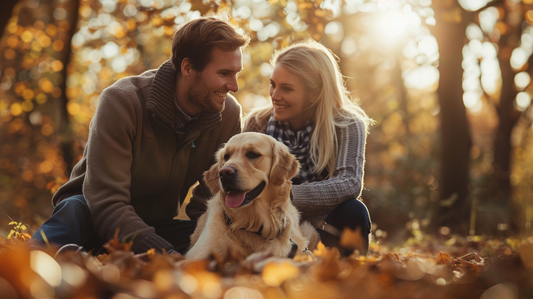 Do Dogs Like Kisses from Humans?