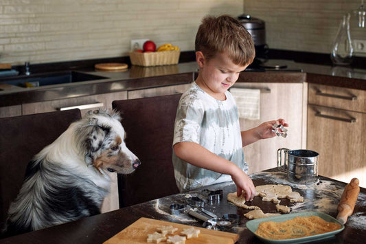 a young boy making dog treat cookies with his australian cattle dog