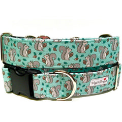 Nuts About Squirrels Dog Collar by Big Paw Shop featuring a whimsical design on cotton fabric