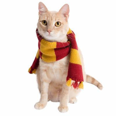 Wizard Scarf Pet Costume - BigPawShop
