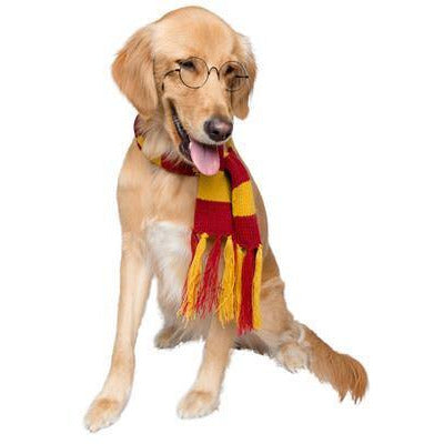 Wizard Scarf Pet Costume - BigPawShop