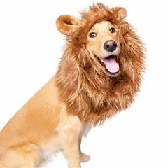 Lion Mane Dog Costume (M/L) - BigPawShop