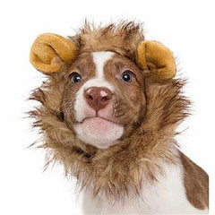 Lion Mane Dog Costume (S) - BigPawShop