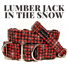 Lumber Jack in The Snow Dog Collar