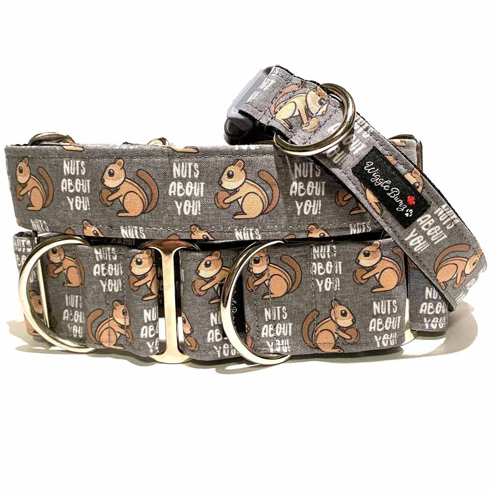 Nuts About you Dog Collar by Big Paw Shop featuring a whimsical design on cotton fabric