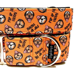 Pup Up The Volume - BigPawShop