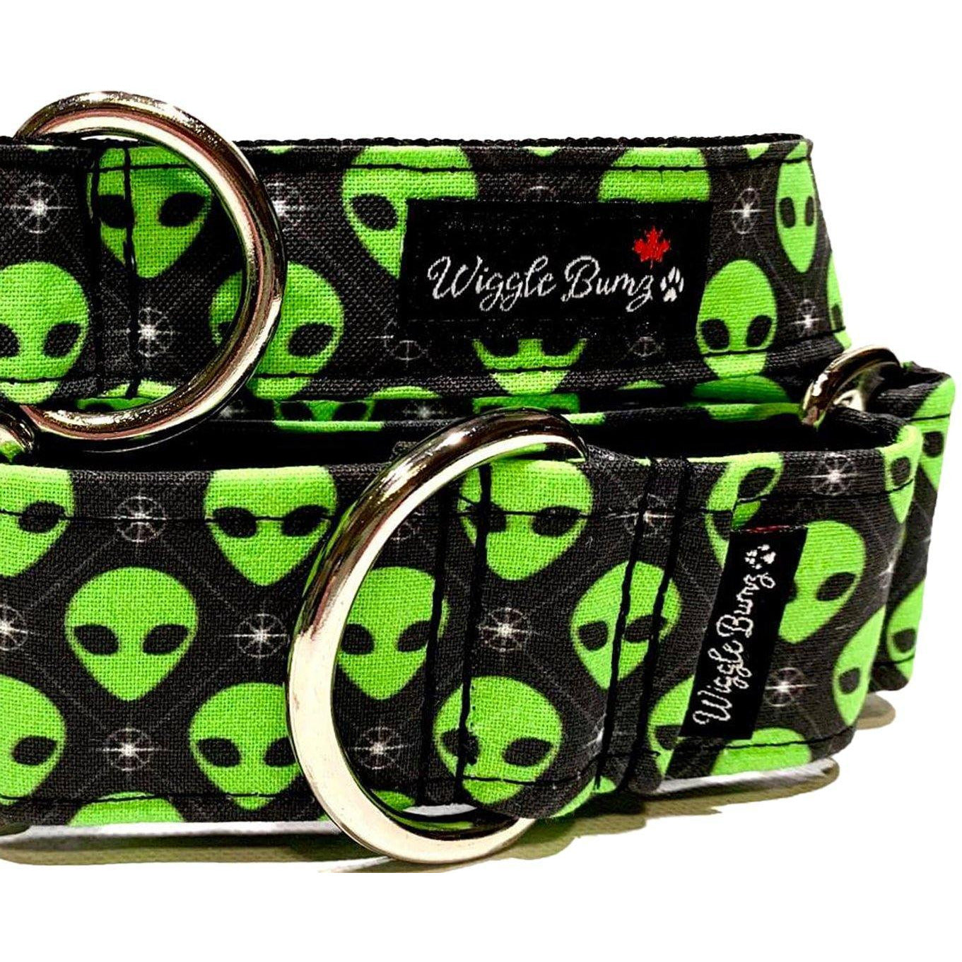 Roswell - BigPawShop