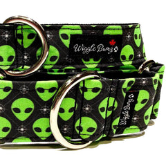 Roswell - BigPawShop