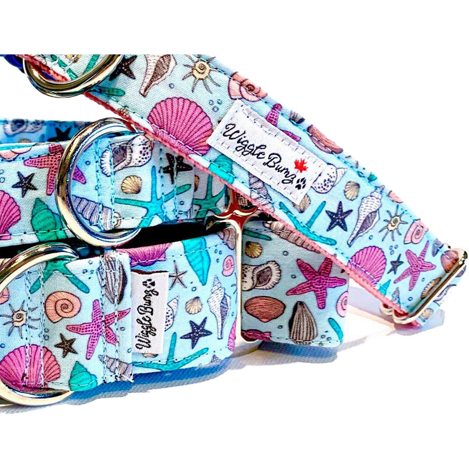 She Sells Seashells - BigPawShop