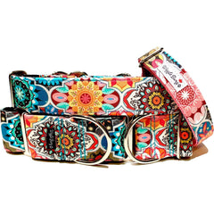 Under the Tuscan Sun Dog Collar