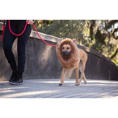 Lion Mane Dog Costume (M/L) - BigPawShop