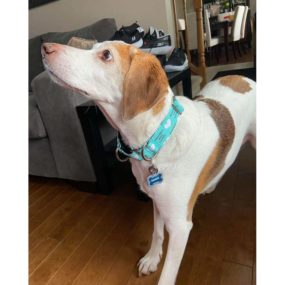Rescued And Loved - Teal